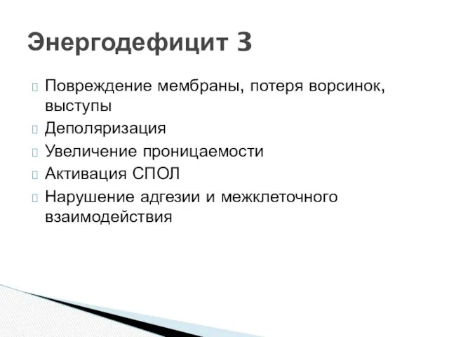 Повреждение мембраны, потеря ворсинок, выступы Деполяризация Увеличение проницаемости Активация СПОЛ