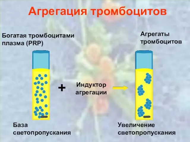 Агрегация тромбоцитов Агрегация тромбоцитов Богатая тромбоцитами плазма (PRP) Индуктор агрегации