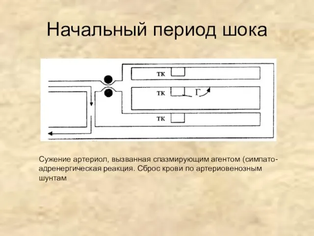 Начальный период шока Сужение артериол, вызванная спазмирующим агентом (симпато-адренергическая реакция. Сброс крови по артериовенозным шунтам