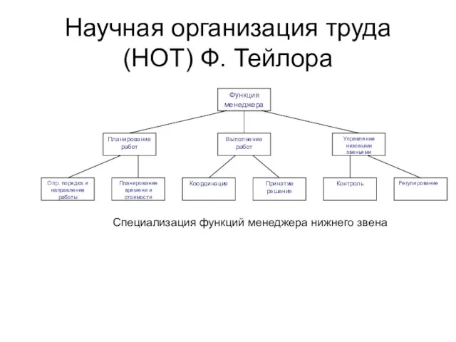 Научная организация труда (НОТ) Ф. Тейлора