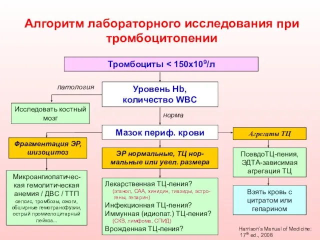 Алгоритм лабораторного исследования при тромбоцитопении Тромбоциты Уровень Hb, количество WBC