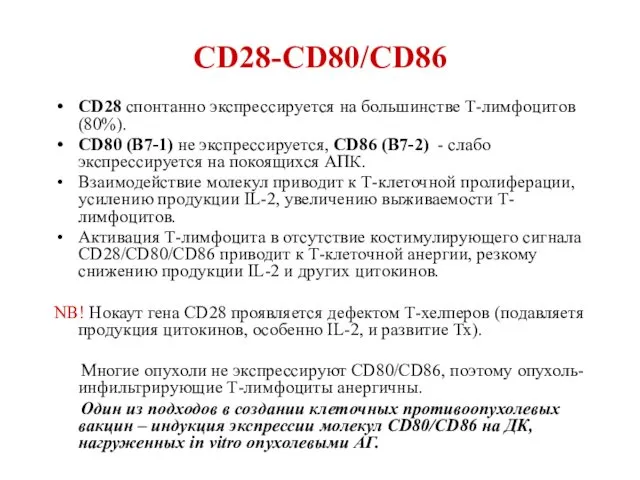 CD28-CD80/CD86 CD28 спонтанно экспрессируется на большинстве Т-лимфоцитов (80%). CD80 (B7-1)