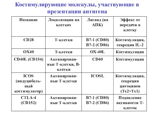 Костимулирующие молекулы, участвующие в презентации антигена