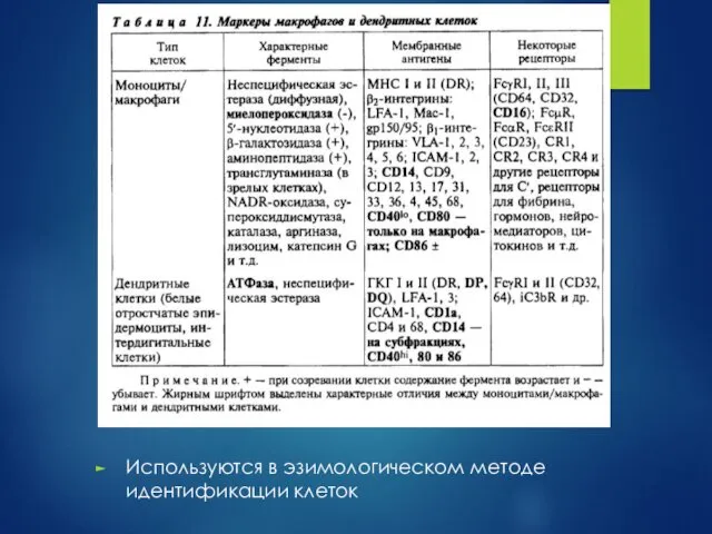 Используются в эзимологическом методе идентификации клеток