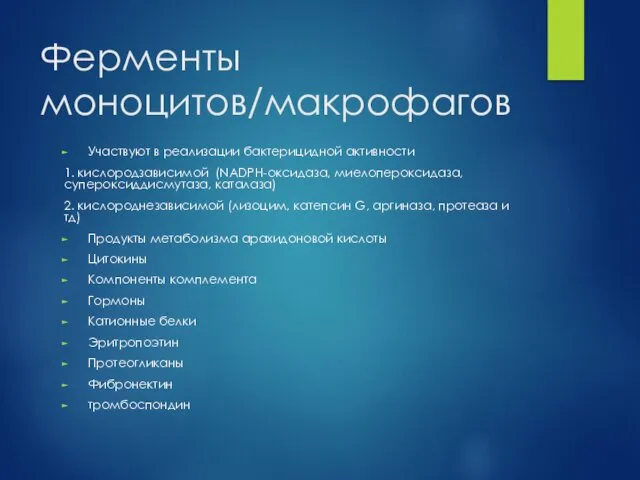 Ферменты моноцитов/макрофагов Участвуют в реализации бактерицидной активности 1. кислородзависимой (NADPH-оксидаза,