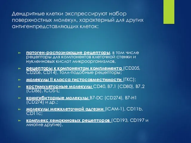 Дендритные клетки экспрессируют набор поверхностных молекул, характерный для других антигенпредставляющих