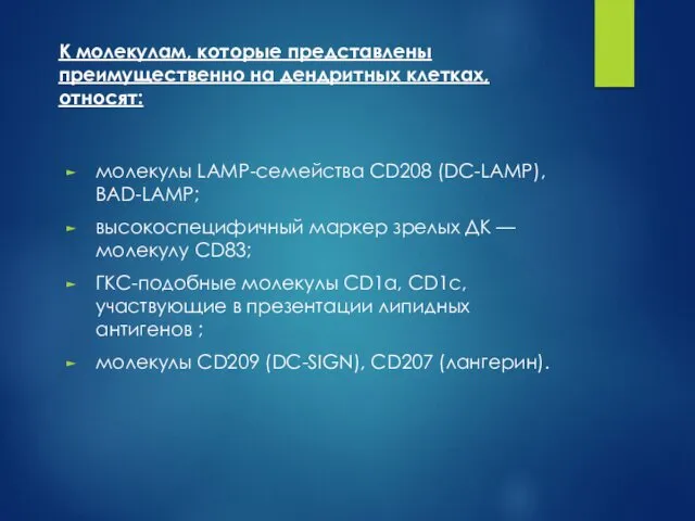 молекулы LAMP-семейства CD208 (DC-LAMP), BAD-LAMP; высокоспецифичный маркер зрелых ДК —