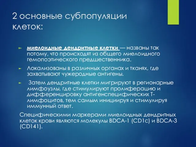 2 основные субпопуляции клеток: миелоидные дендритные клетки — названы так