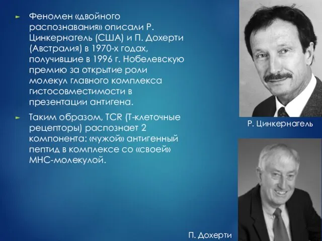 Феномен «двойного распознавания» описали Р. Цинкернагель (США) и П. Дохерти