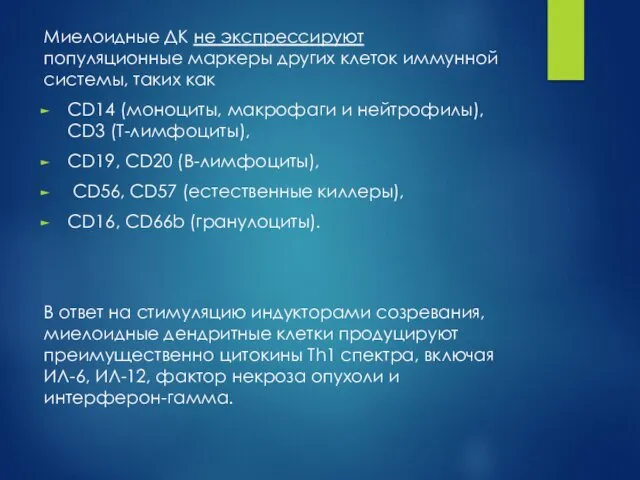 Миелоидные ДК не экспрессируют популяционные маркеры других клеток иммунной системы,