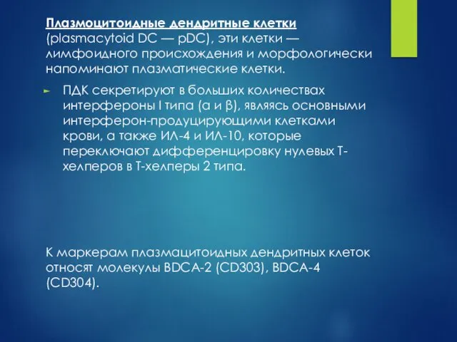 Плазмоцитоидные дендритные клетки (plasmacytoid DC — pDC), эти клетки —