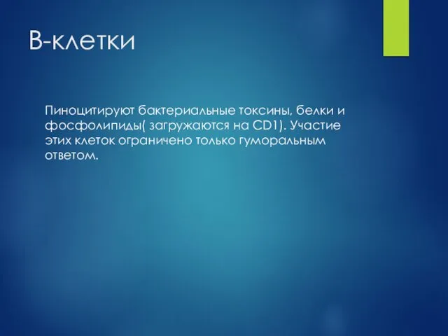 В-клетки Пиноцитируют бактериальные токсины, белки и фосфолипиды( загружаются на CD1).