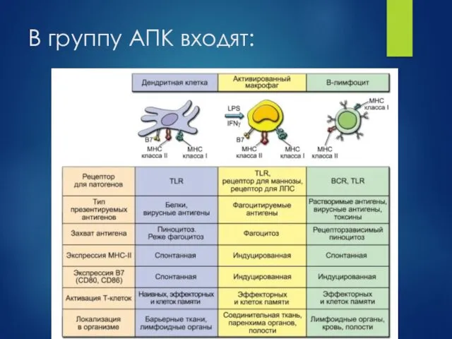 В группу АПК входят: