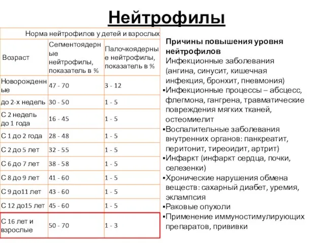 Нейтрофилы Причины повышения уровня нейтрофилов Инфекционные заболевания (ангина, синусит, кишечная