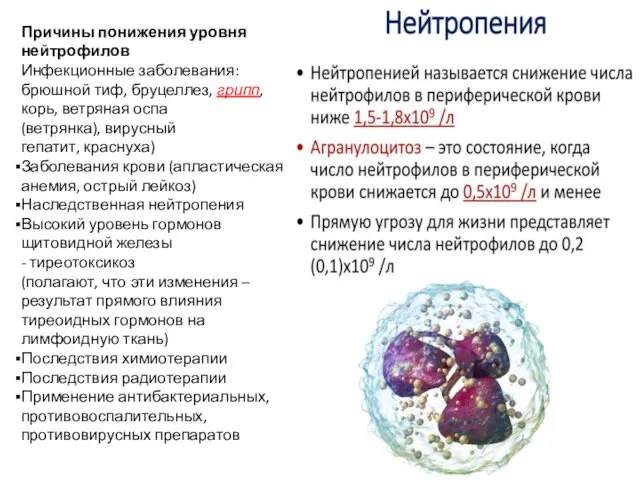 Причины понижения уровня нейтрофилов Инфекционные заболевания: брюшной тиф, бруцеллез, грипп,