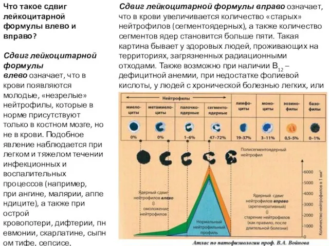 Что такое сдвиг лейкоцитарной формулы влево и вправо? Сдвиг лейкоцитарной