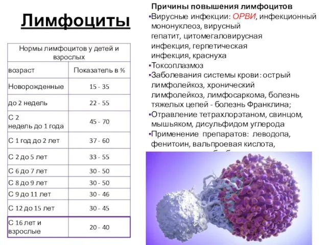 Лимфоциты Причины повышения лимфоцитов Вирусные инфекции: ОРВИ, инфекционный мононуклеоз, вирусный