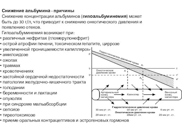 Снижение альбумина - причины Снижение концентрации альбуминов (гипоальбуминемия) может быть