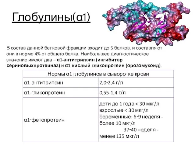 Глобулины(α1) В состав данной белковой фракции входит до 5 белков,