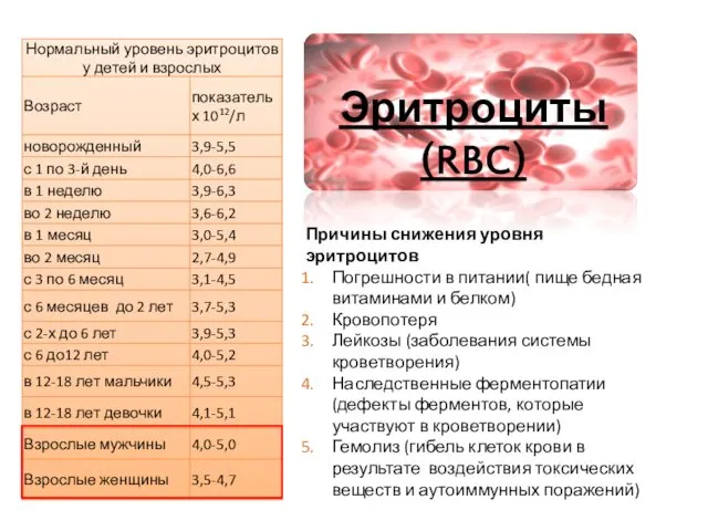 Эритроциты (RBC) Причины снижения уровня эритроцитов Погрешности в питании( пище