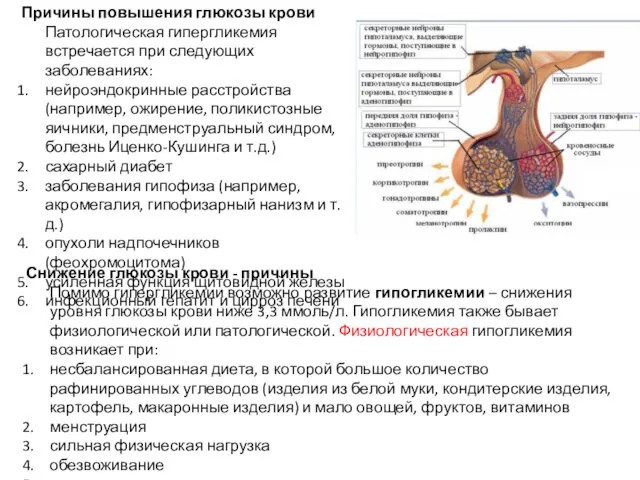 Причины повышения глюкозы крови Патологическая гипергликемия встречается при следующих заболеваниях: