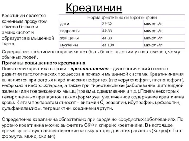 Креатинин Креатинин является конечным продуктом обмена белков и аминокислот и