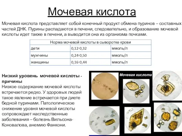 Мочевая кислота Мочевая кислота представляет собой конечный продукт обмена пуринов