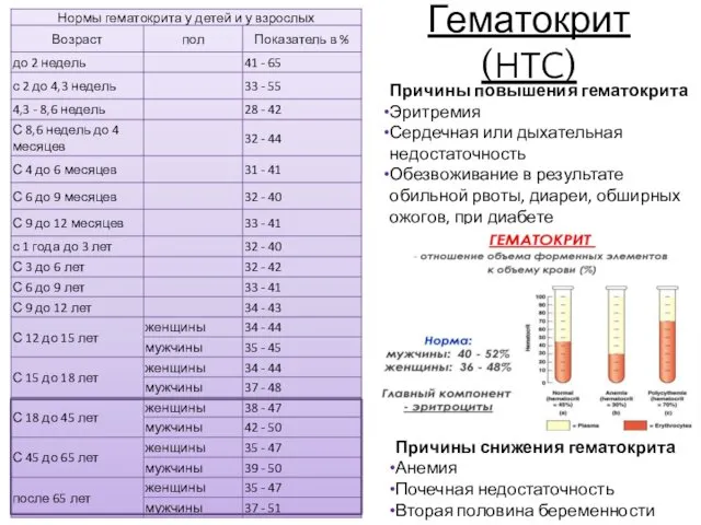 Гематокрит (HTC) Причины повышения гематокрита Эритремия Сердечная или дыхательная недостаточность