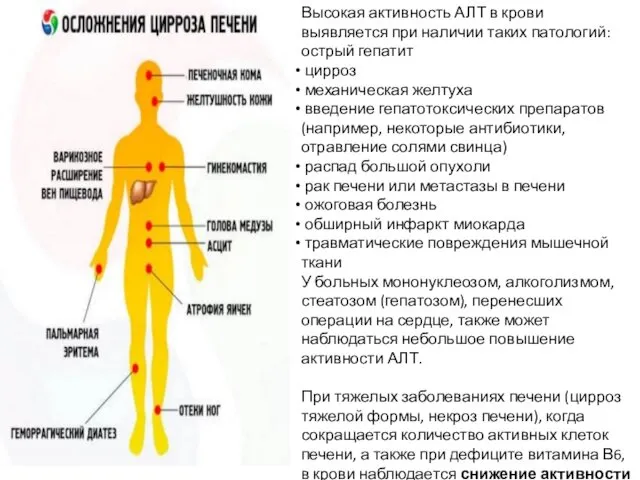 Высокая активность АЛТ в крови выявляется при наличии таких патологий: