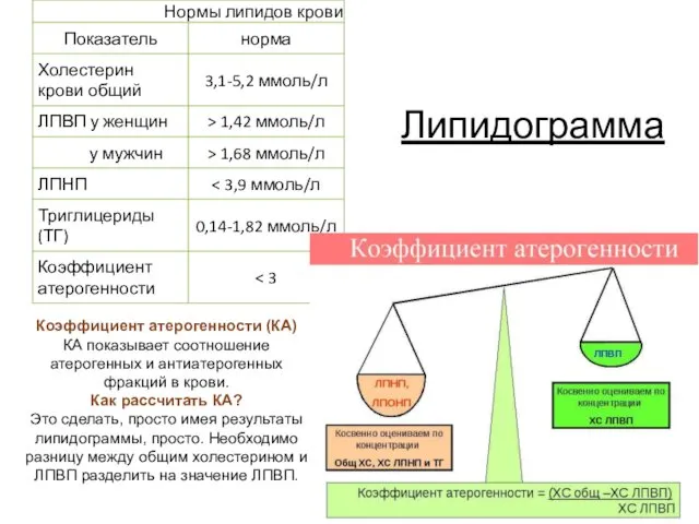 Липидограмма Коэффициент атерогенности (КА) КА показывает соотношение атерогенных и антиатерогенных