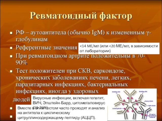 Вместе в этим тестом часто проходят и анализ на антитела