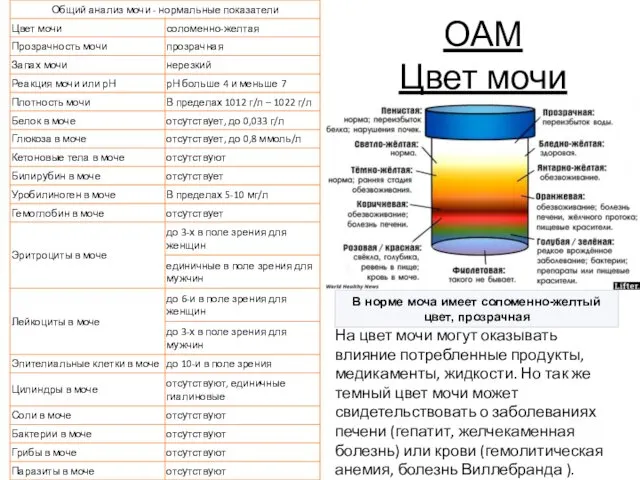 ОАМ Цвет мочи На цвет мочи могут оказывать влияние потребленные