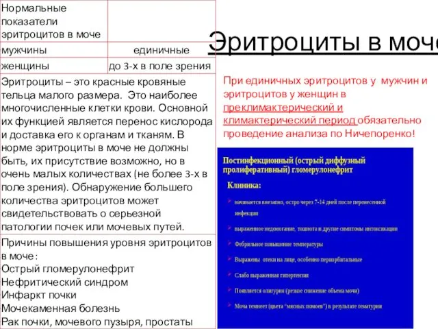 Эритроциты в моче При единичных эритроцитов у мужчин и эритроцитов