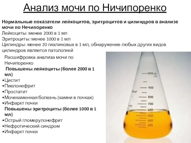 Анализ мочи по Ничипоренко Нормальные показатели лейкоцитов, эритроцитов и цилиндров