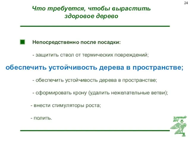 Что требуется, чтобы вырастить здоровое дерево Непосредственно после посадки: -