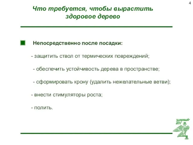 Что требуется, чтобы вырастить здоровое дерево Непосредственно после посадки: защитить