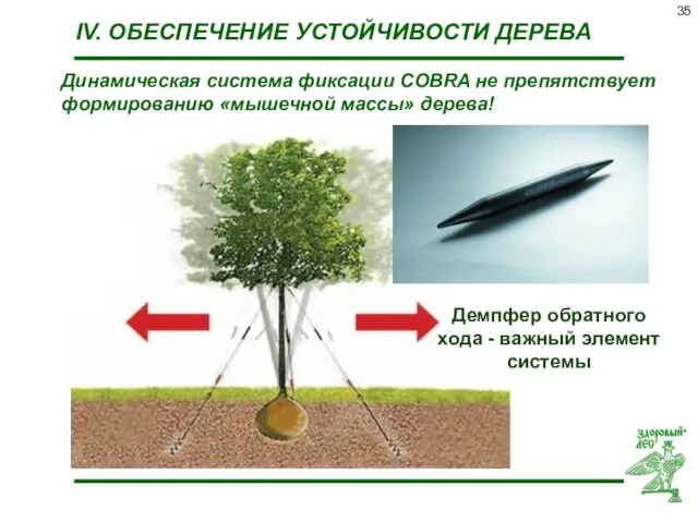 IV. ОБЕСПЕЧЕНИЕ УСТОЙЧИВОСТИ ДЕРЕВА Демпфер обратного хода - важный элемент