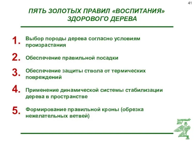 ПЯТЬ ЗОЛОТЫХ ПРАВИЛ «ВОСПИТАНИЯ» ЗДОРОВОГО ДЕРЕВА Выбор породы дерева согласно