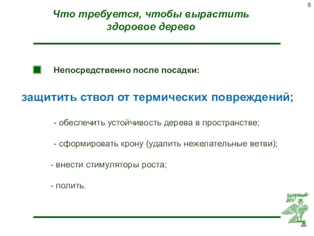 Что требуется, чтобы вырастить здоровое дерево Непосредственно после посадки: -