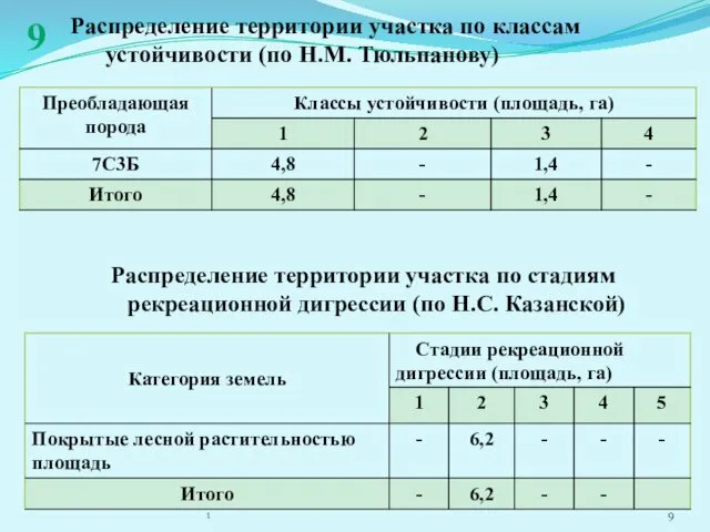 Распределение территории участка по классам устойчивости (по Н.М. Тюльпанову) 1