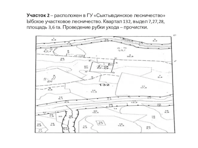 Участок 2 – расположен в ГУ «Сыктывдинское лесничество» Ыбское участковое