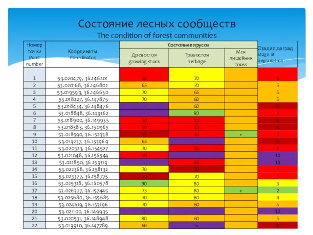 Состояние лесных сообществ The condition of forest communities