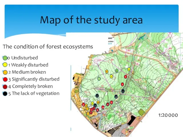 Map of the study area 0 Undisturbed 1 Weakly disturbed