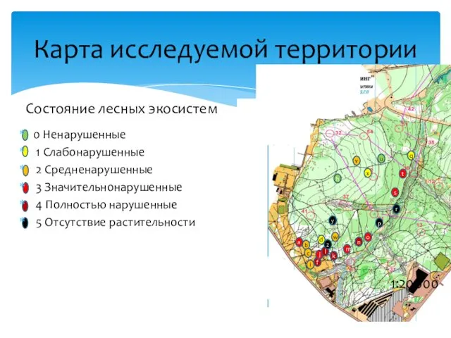 Карта исcледуемой территории 1:20000 Состояние лесных экосистем 0 Ненарушенные 1