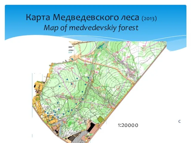 Карта Медведевского леса (2013) Map of medvedevskiy forest Рис. Медведевский лес 1:10000 1:20000