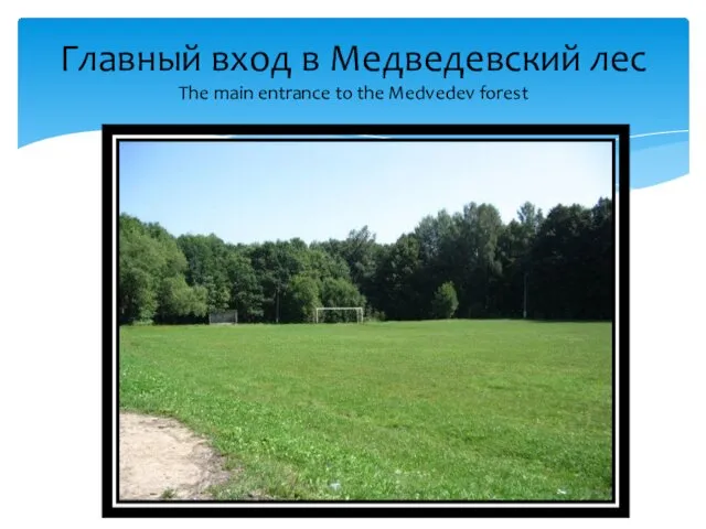 Главный вход в Медведевский лес The main entrance to the Medvedev forest