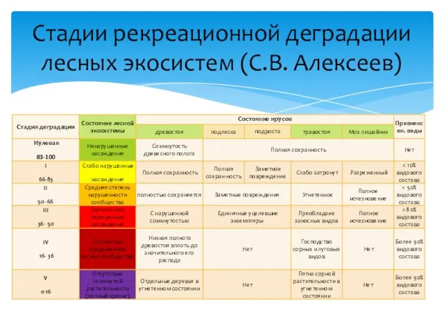 Стадии рекреационной деградации лесных экосистем (С.В. Алексеев)