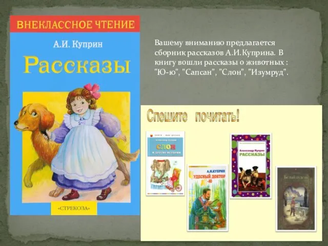 Вашему вниманию предлагается сборник рассказов А.И.Куприна. В книгу вошли рассказы