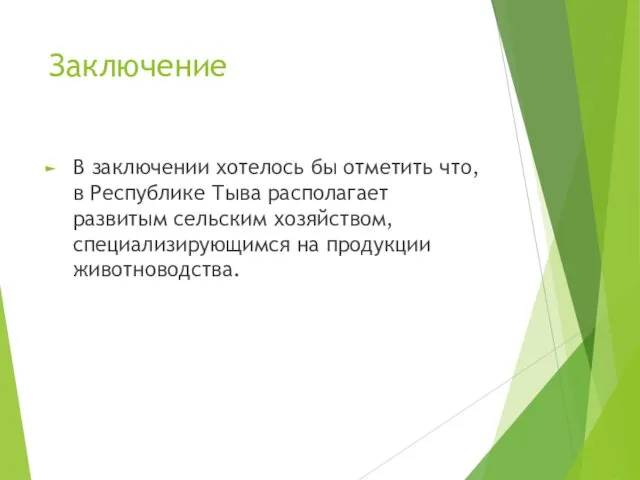 Заключение В заключении хотелось бы отметить что, в Республике Тыва