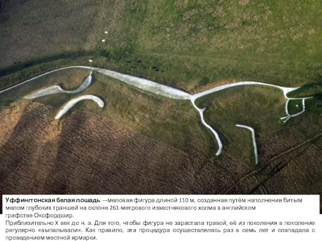Уффингтонская белая лошадь —меловая фигура длиной 110 м, созданная путём